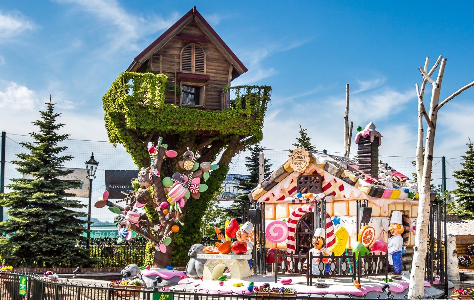 6D4N Japan Hokkaido photo 3279