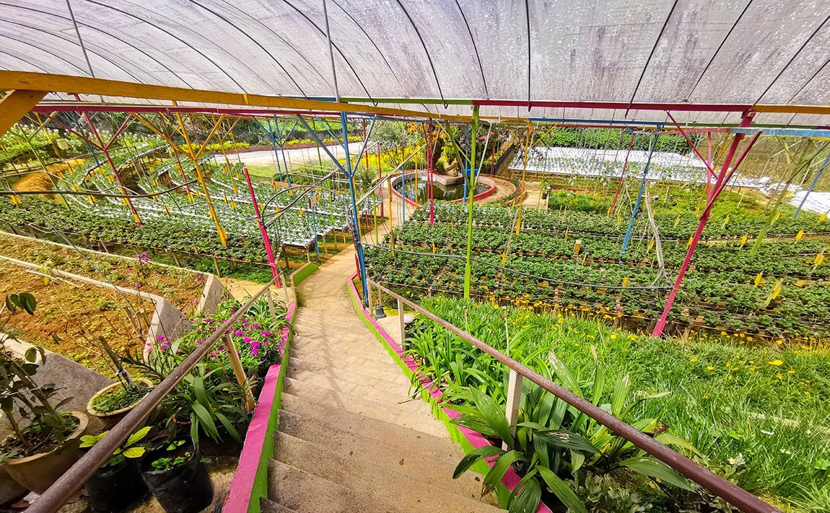 Full Day Cameron Tour photo 3475