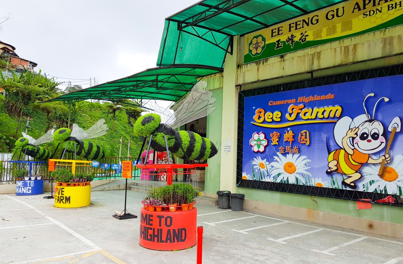 Full Day Cameron Tour photo 3476