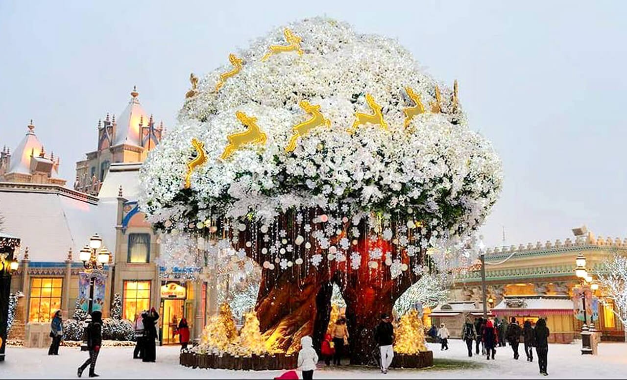 7D6N Winter in Seoul + Jeju photo 3514