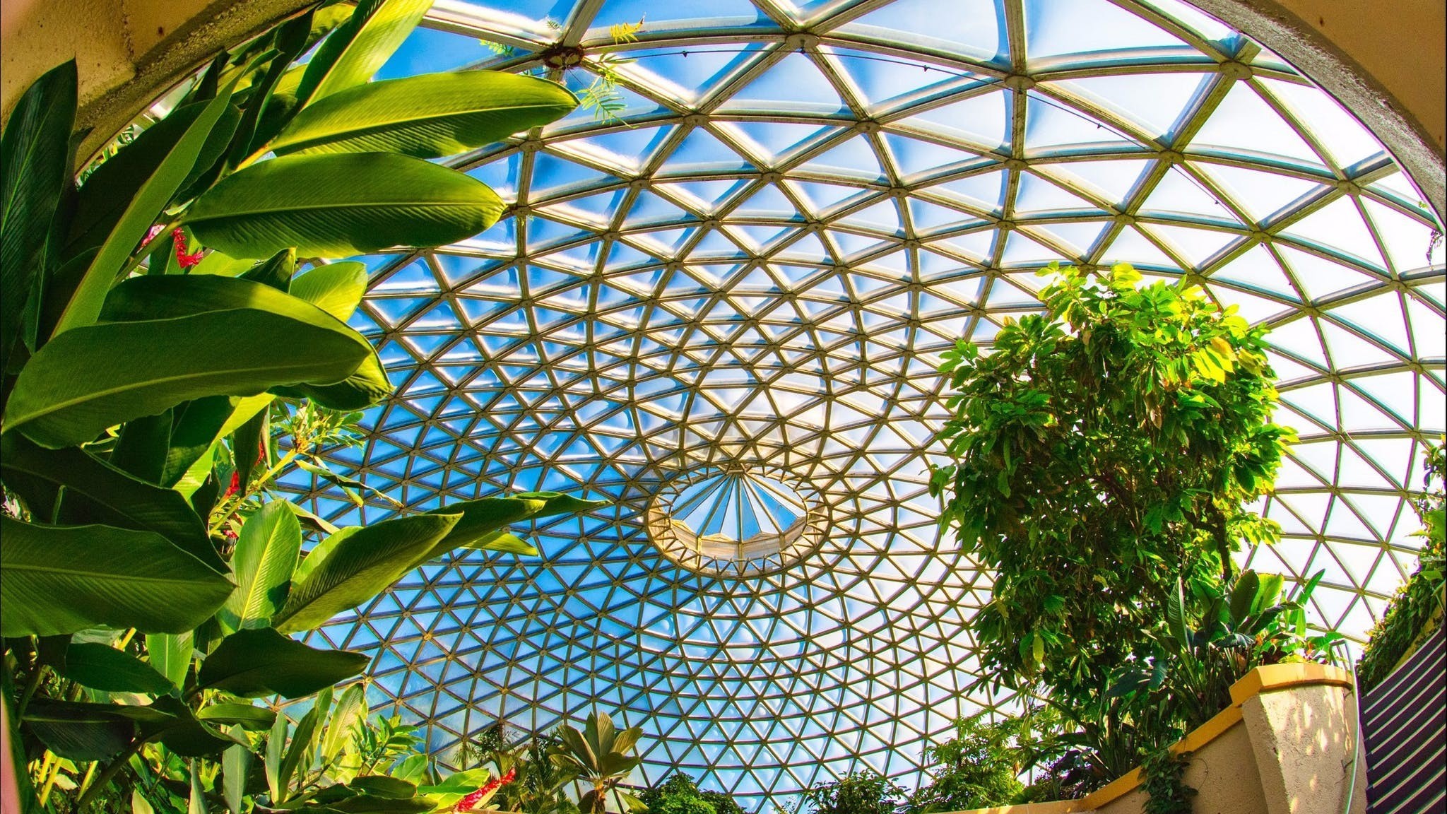 6D4N GOLD COAST & BRISBANE photo 3621