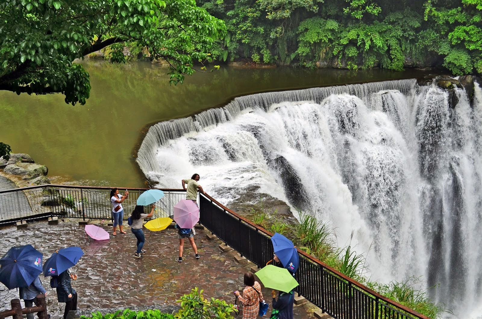 5D4N TAIWAN DISCOVERY PACKAGE photo 3715