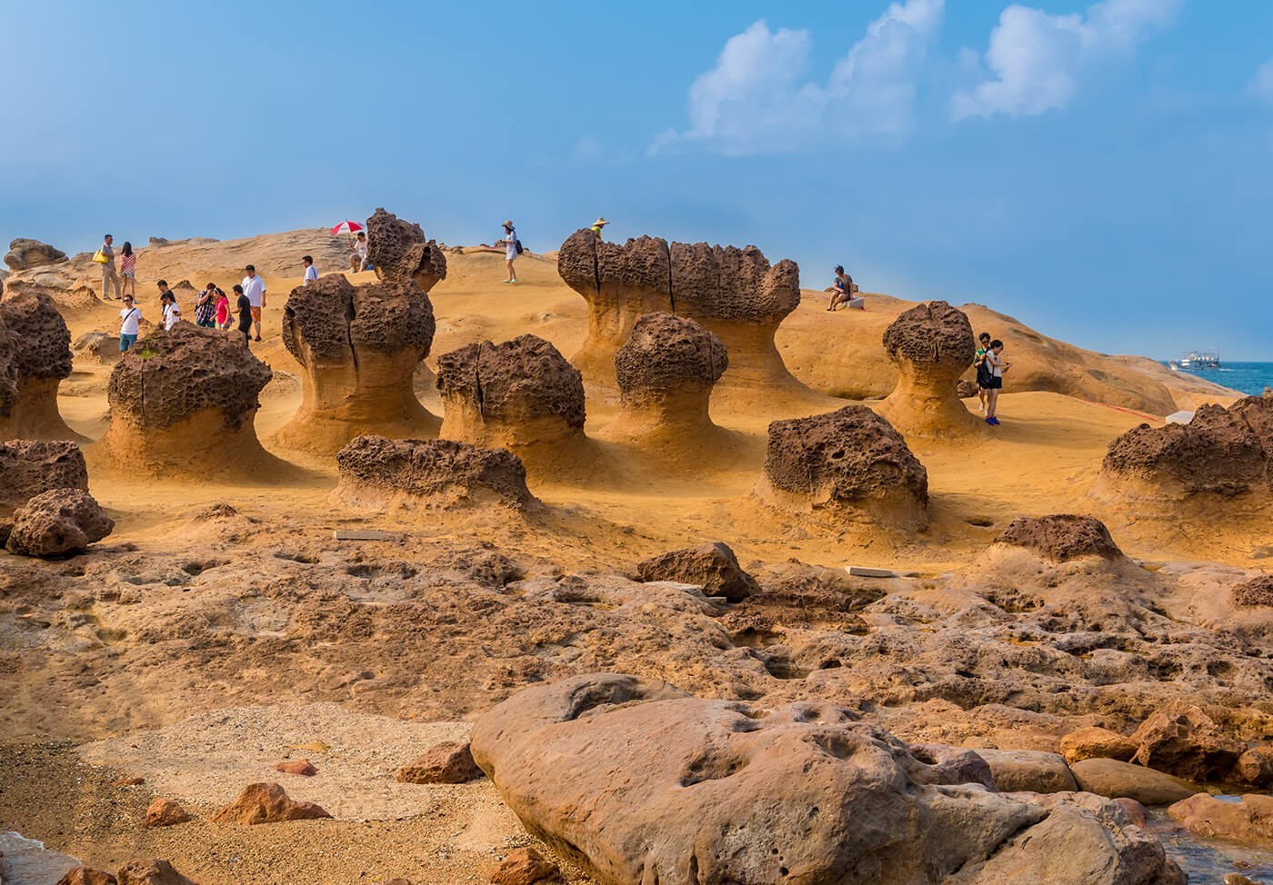 5D4N TAIWAN DISCOVERY PACKAGE photo 3719