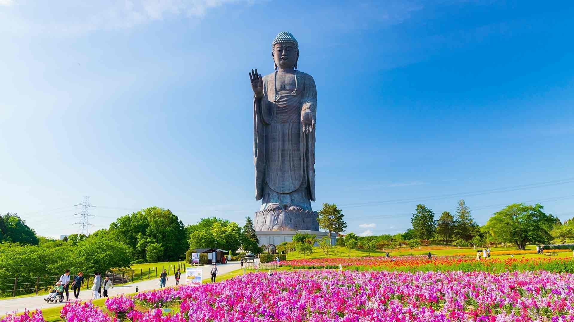 7D5N FLORAL KANTO + TOKYO FREE & EASY photo 3782