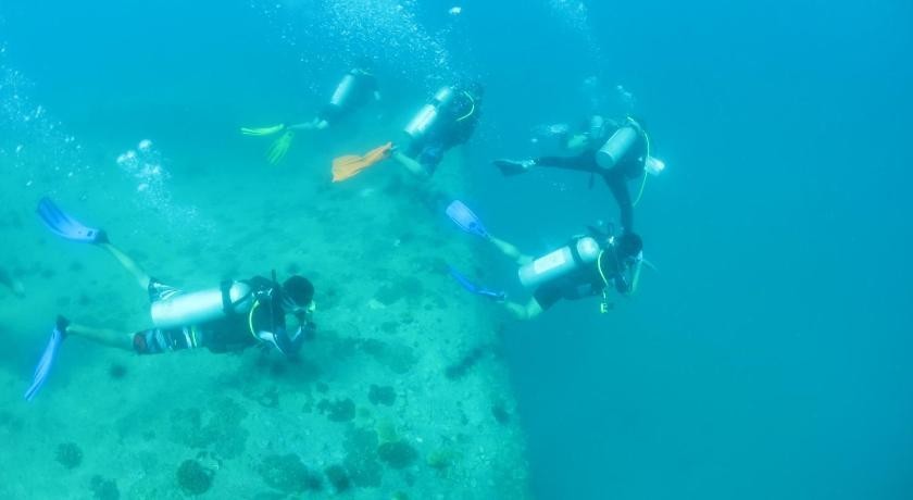 3D2N Ombak Dive Resort Snorkelling Package photo 3939