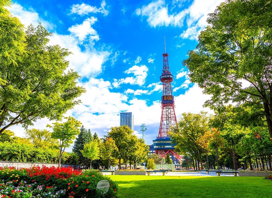7D5N HOKKAIDO *LAVENDER / SUN FLOWER SEASON photo 4352