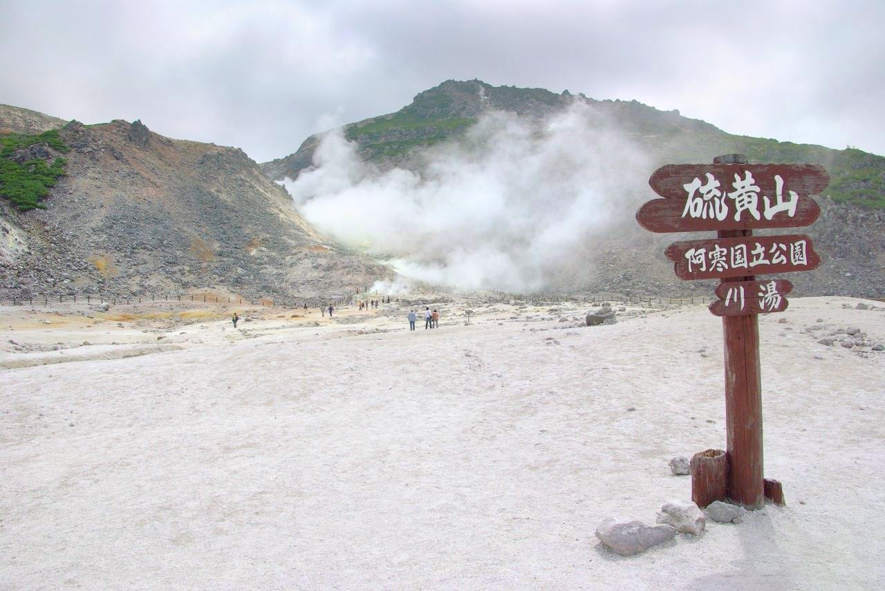 7D5N HOKKAIDO *LAVENDER / SUN FLOWER SEASON photo 4353