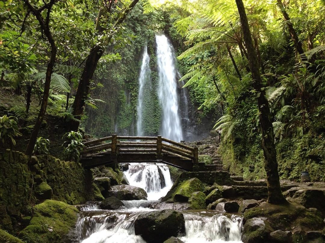 4D3N Joja Solo Package photo 4253