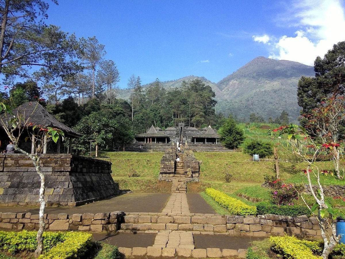 4D3N Joja Solo Package photo 4255