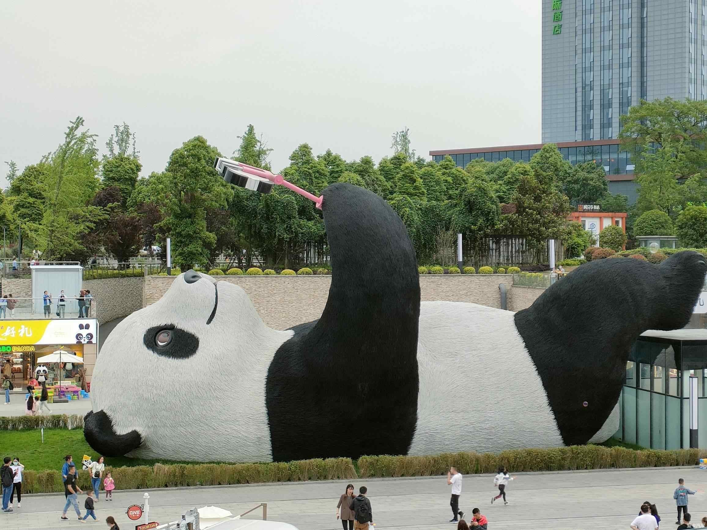 6D5N CHENGDU/XI LING SNOW MOUNTAIN/DUJIANGYAN/ANREN ANCIENT TOWN photo 4911