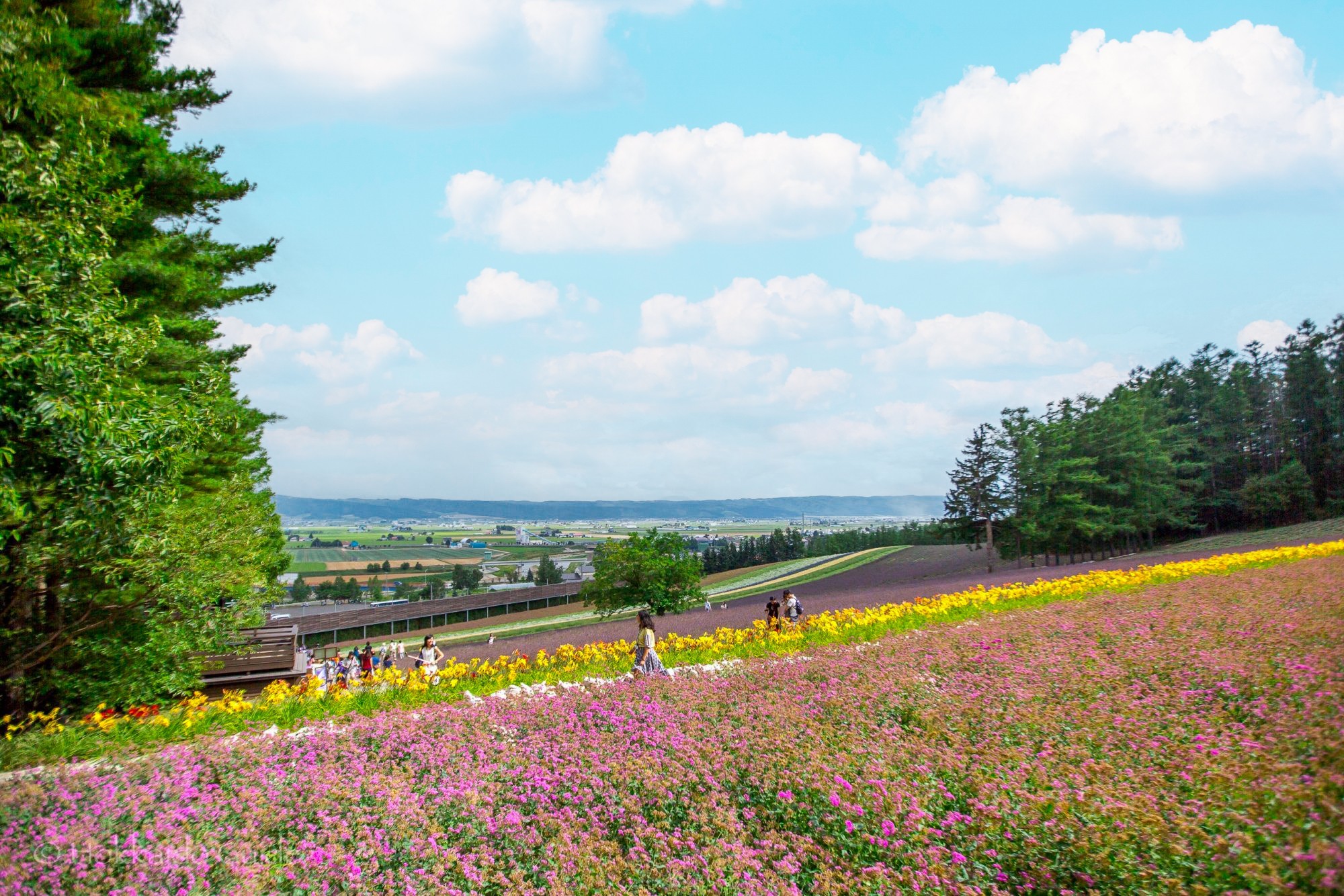 Hokkaido Private Tours 8D7N - Spring & Summer photo 4975