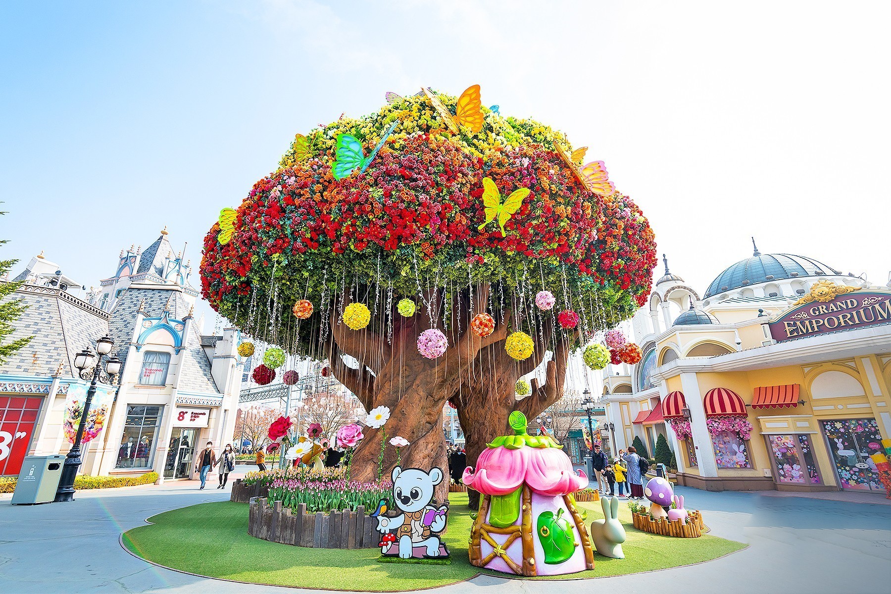 6H4M KOREA + EVERLAND THEME PARK TULIP FEST - Muslim photo 5340