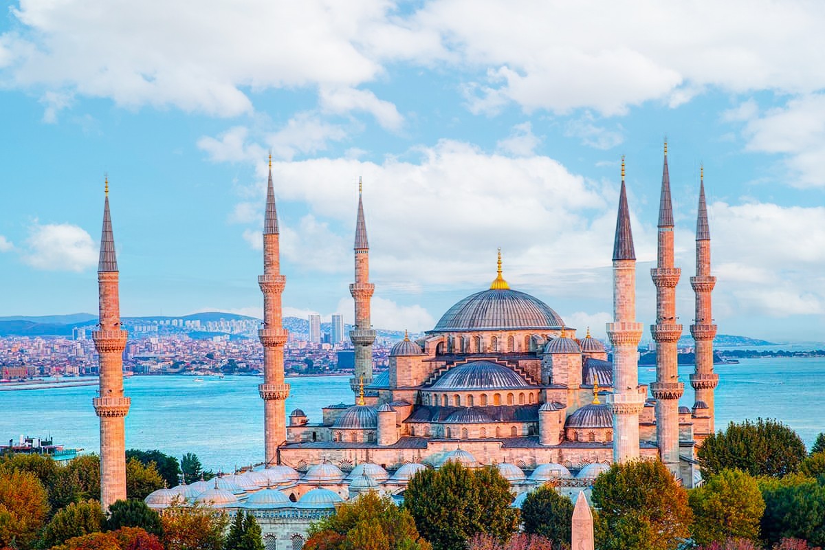 9H7M TURKIYE TULIP - Muslim photo 5403