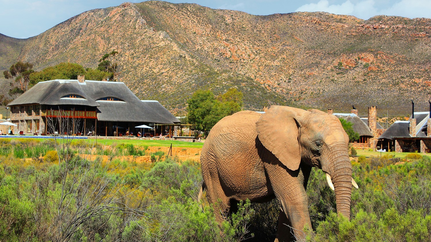 11H9M AFRIKA SELATAN - Muslim photo 5432