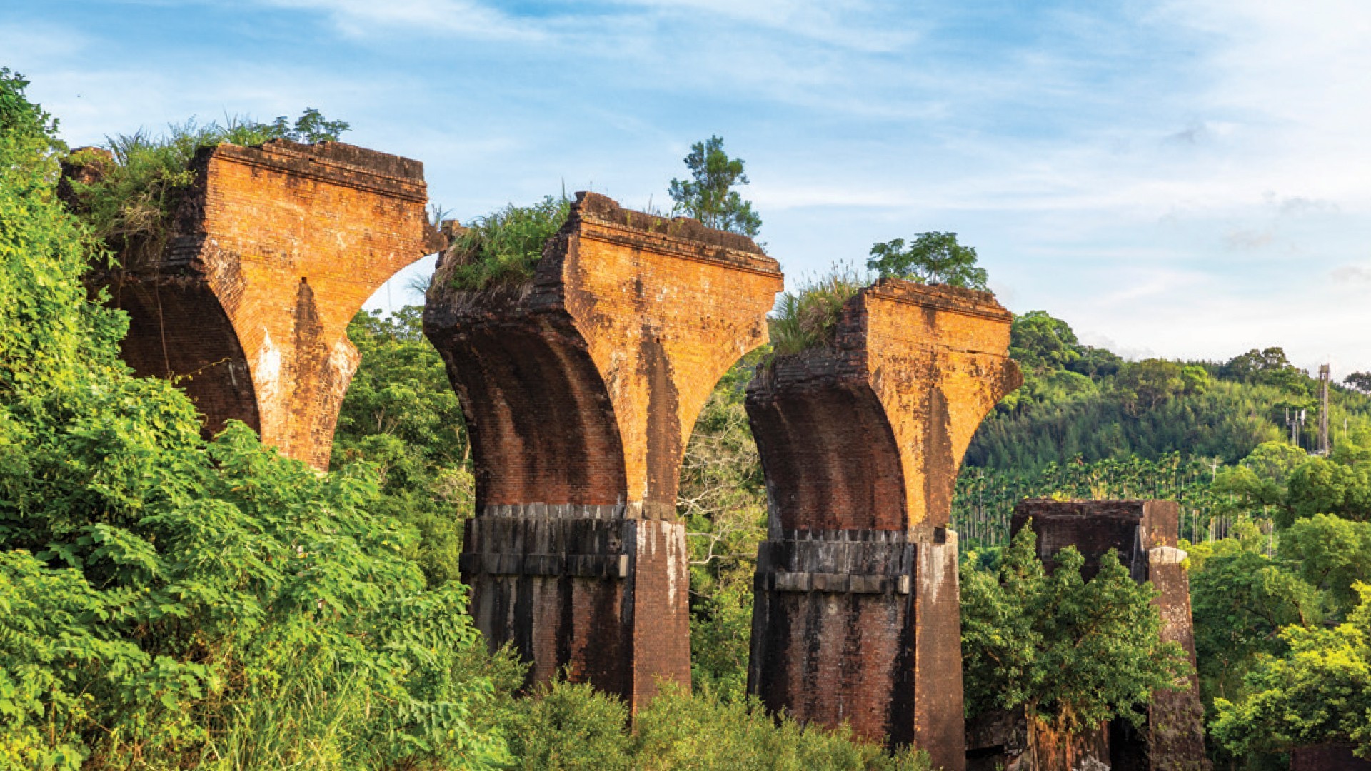 7D6N KAOHSIUNG/CHIAYI/CHANGHUA/TAICHUNG/MIAOLI/TAIPEI photo 6327