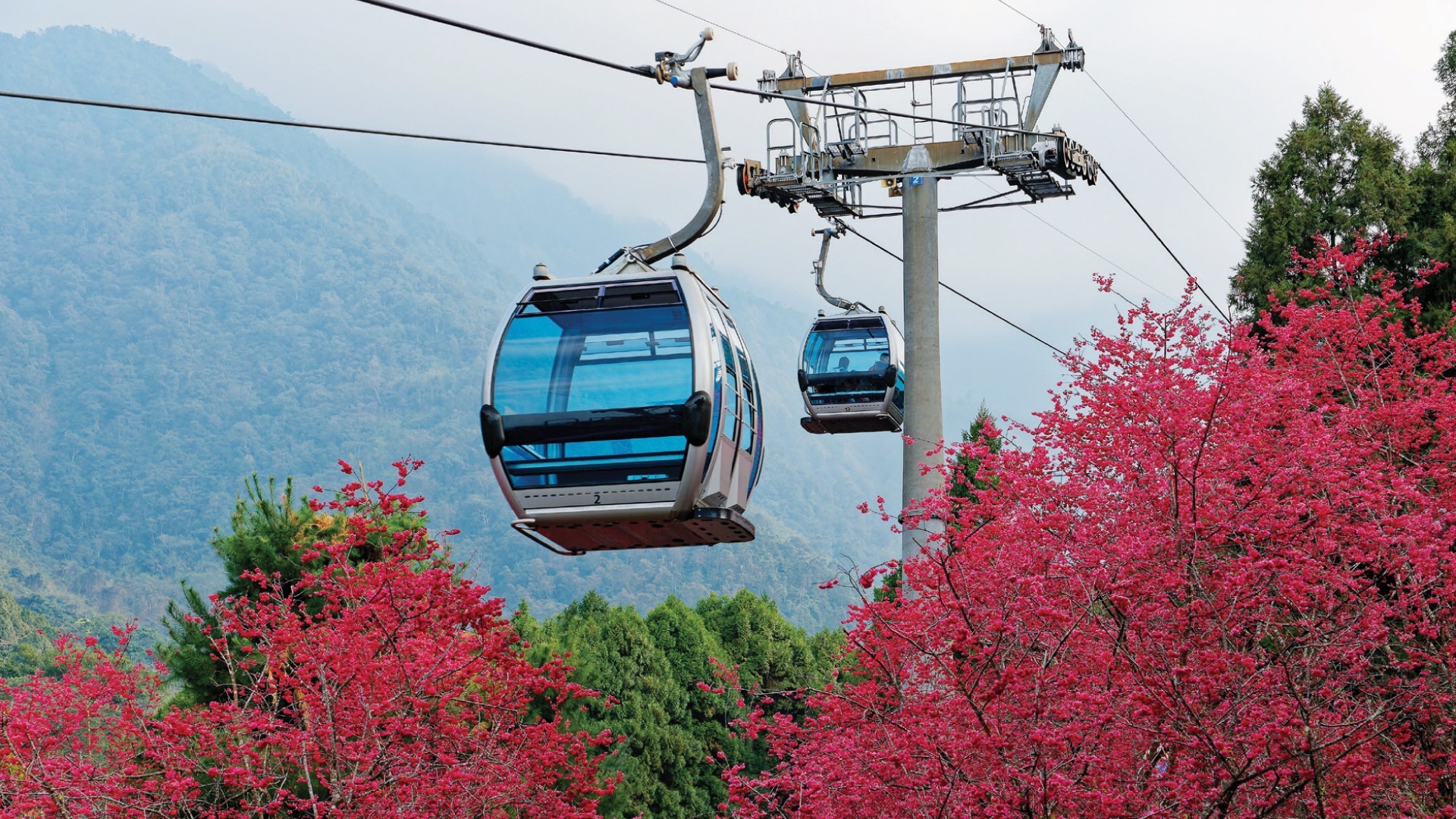 7D6N KAOHSIUNG/CHIAYI/CHANGHUA/TAICHUNG/MIAOLI/TAIPEI photo 6328