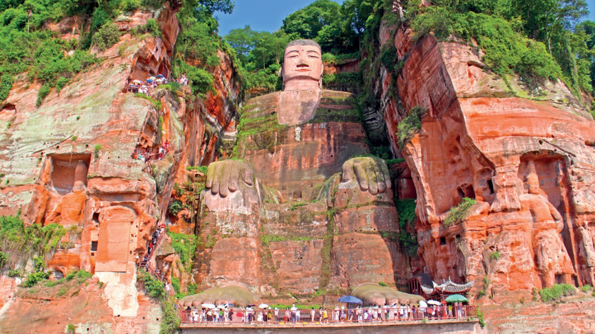 Transseksual porno transseksuallar