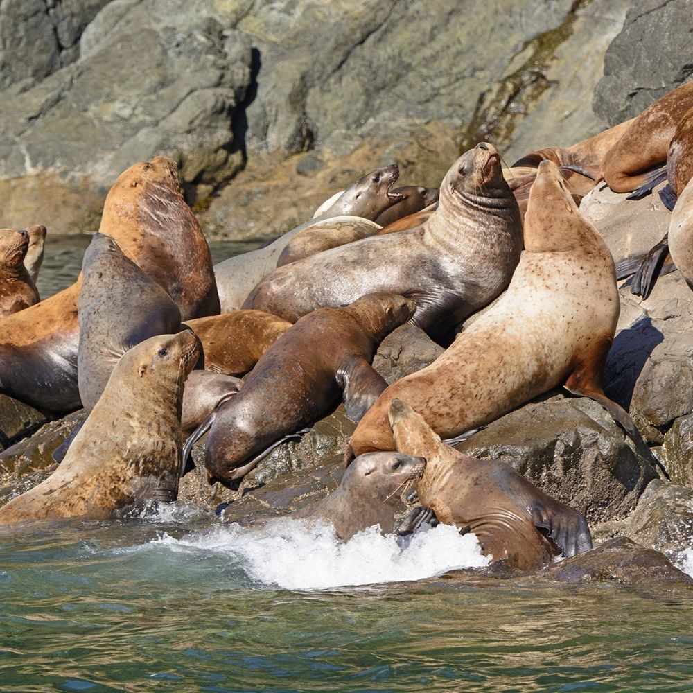 10 Days Spectacular Alaska photo 6460