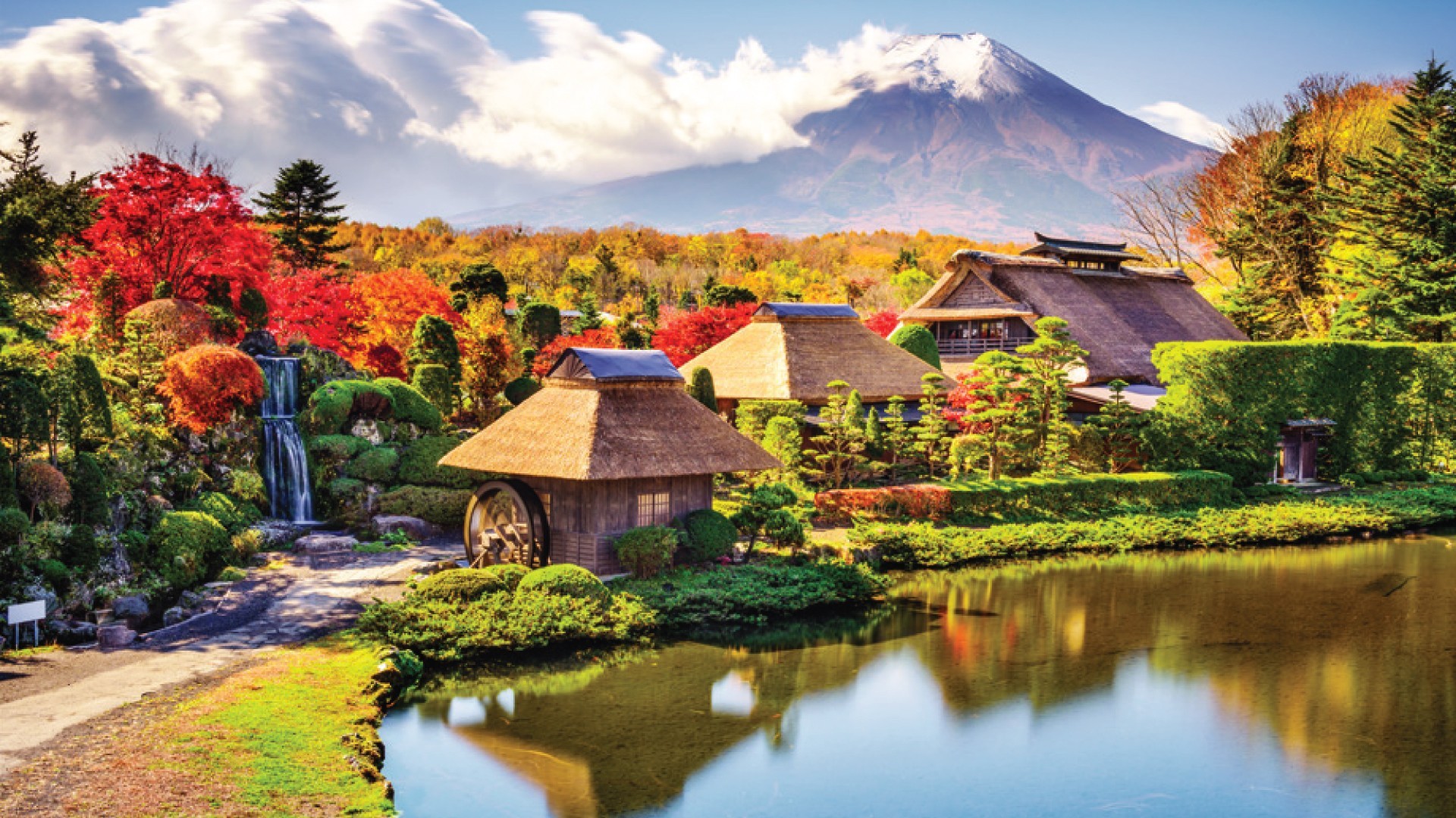 7D5N TOKYO/MT.FUJI/HAKONE/KAWAGOE photo 6746