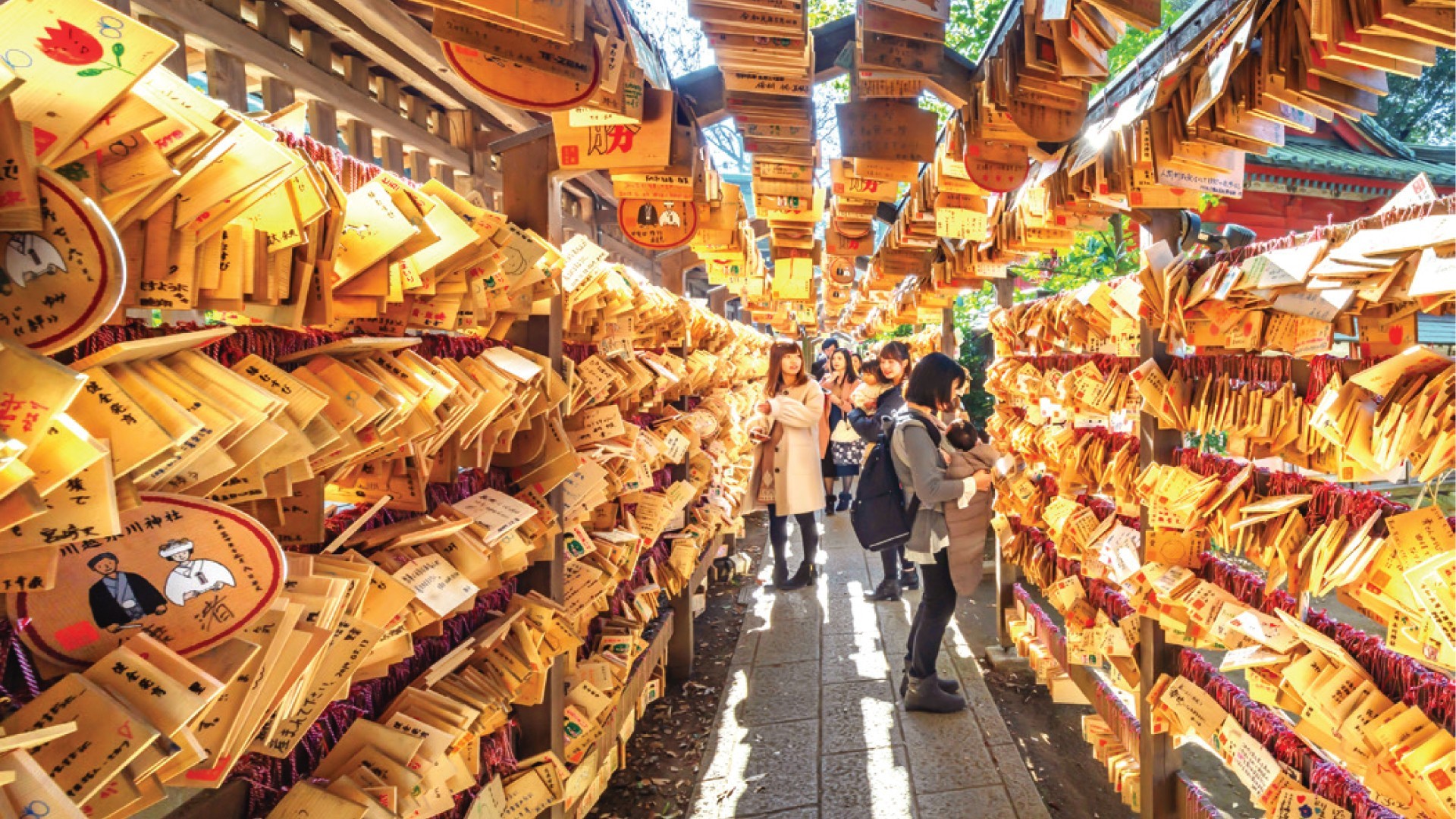 7D5N TOKYO/MT.FUJI/HAKONE/KAWAGOE photo 6747