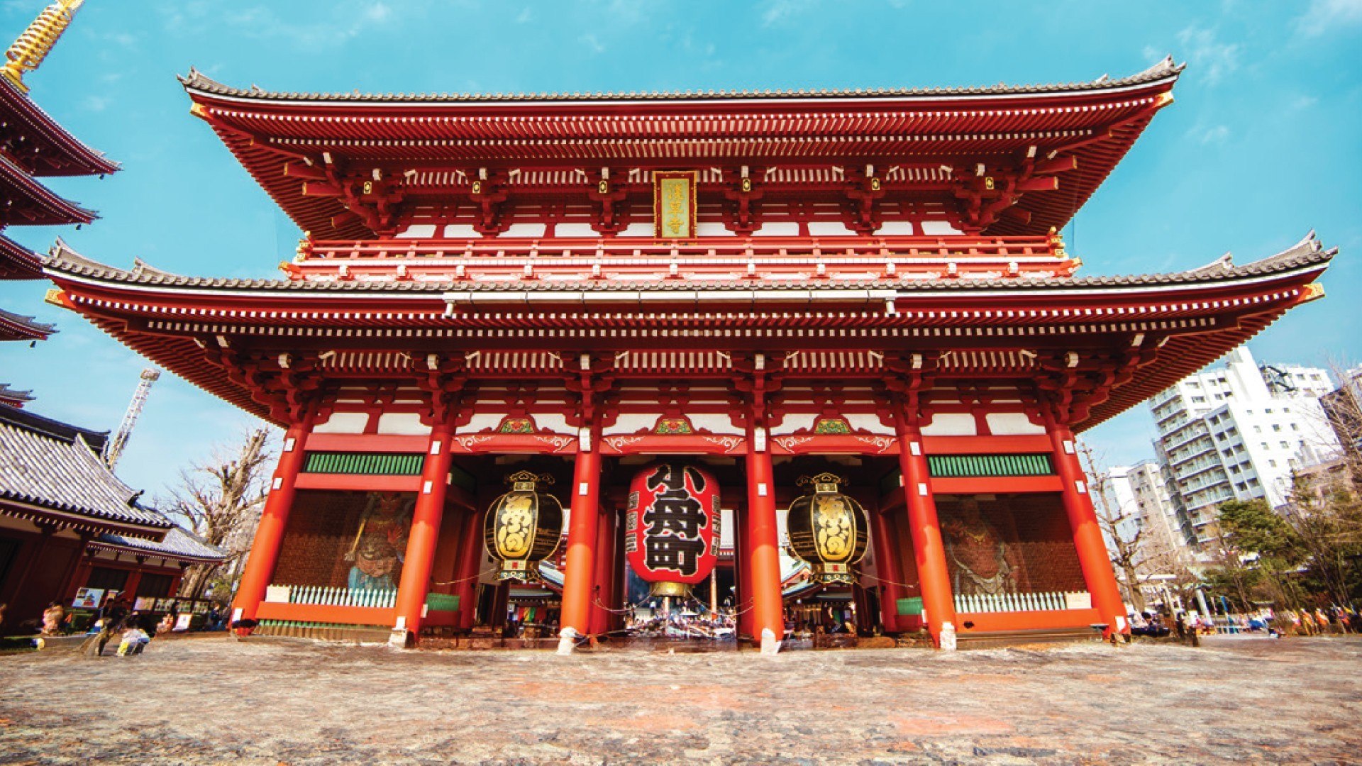 7D5N TOKYO/MT.FUJI/HAKONE/KAWAGOE photo 6748