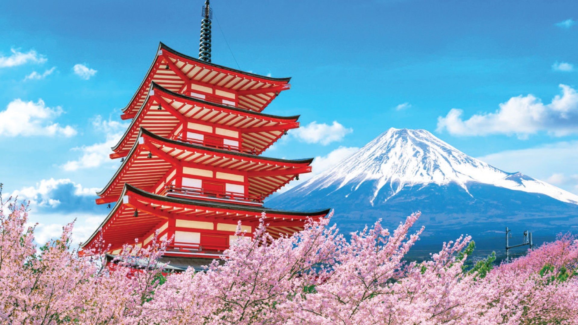 6D5N TOKYO + DISNEYLAND / MT. FUJI / KYOTO / OSAKA photo 6749