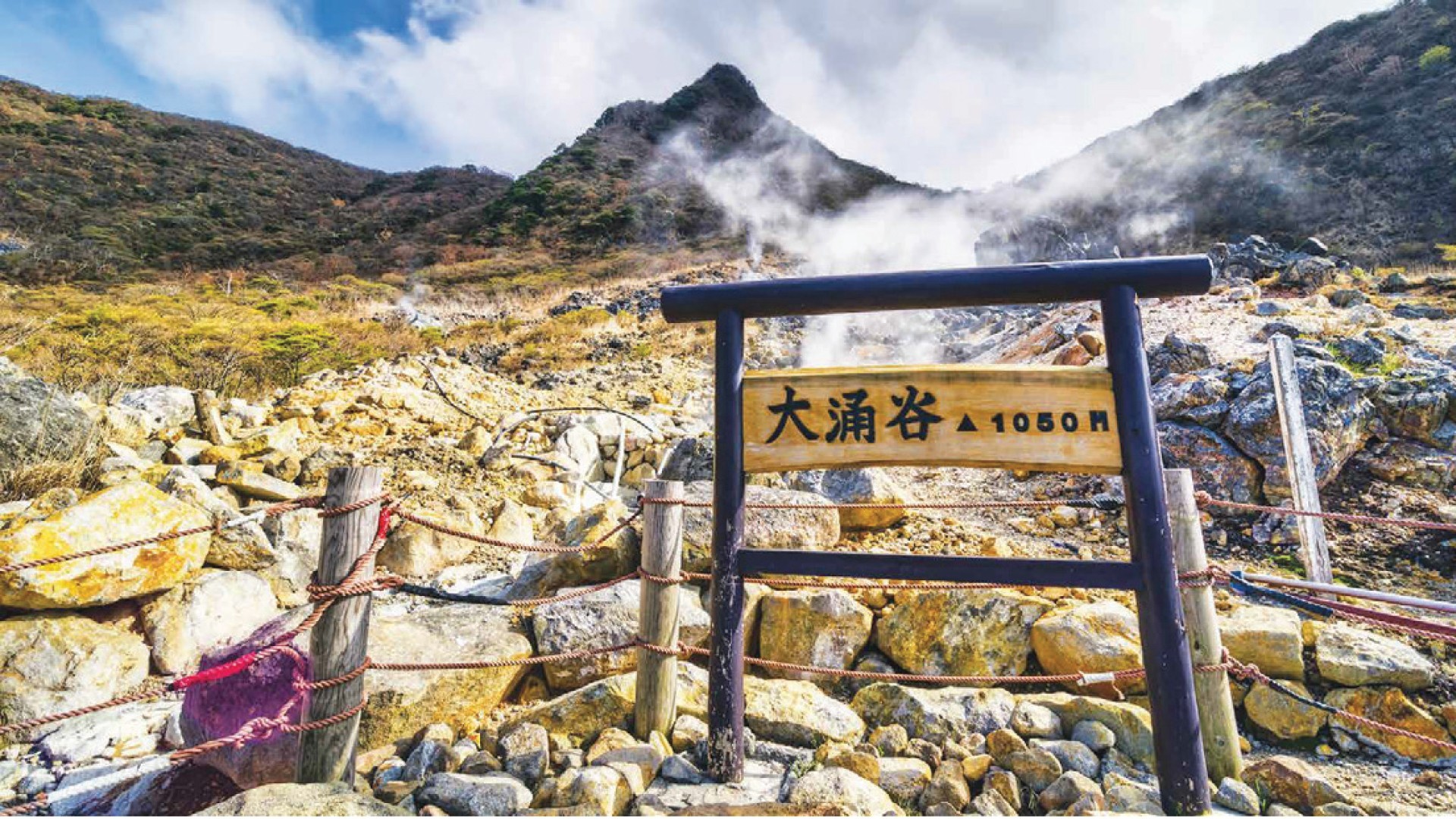 6D5N TOKYO + DISNEYLAND / MT. FUJI / KYOTO / OSAKA photo 6753