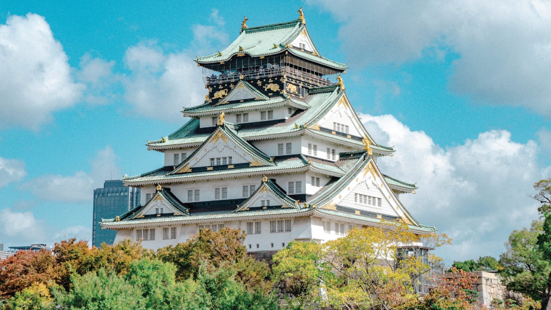 7D6N TOKYO + DISNEYLAND / MT FUJI / KYOTO [BULLET TRAIN] / NARA / OSAKA photo 6756