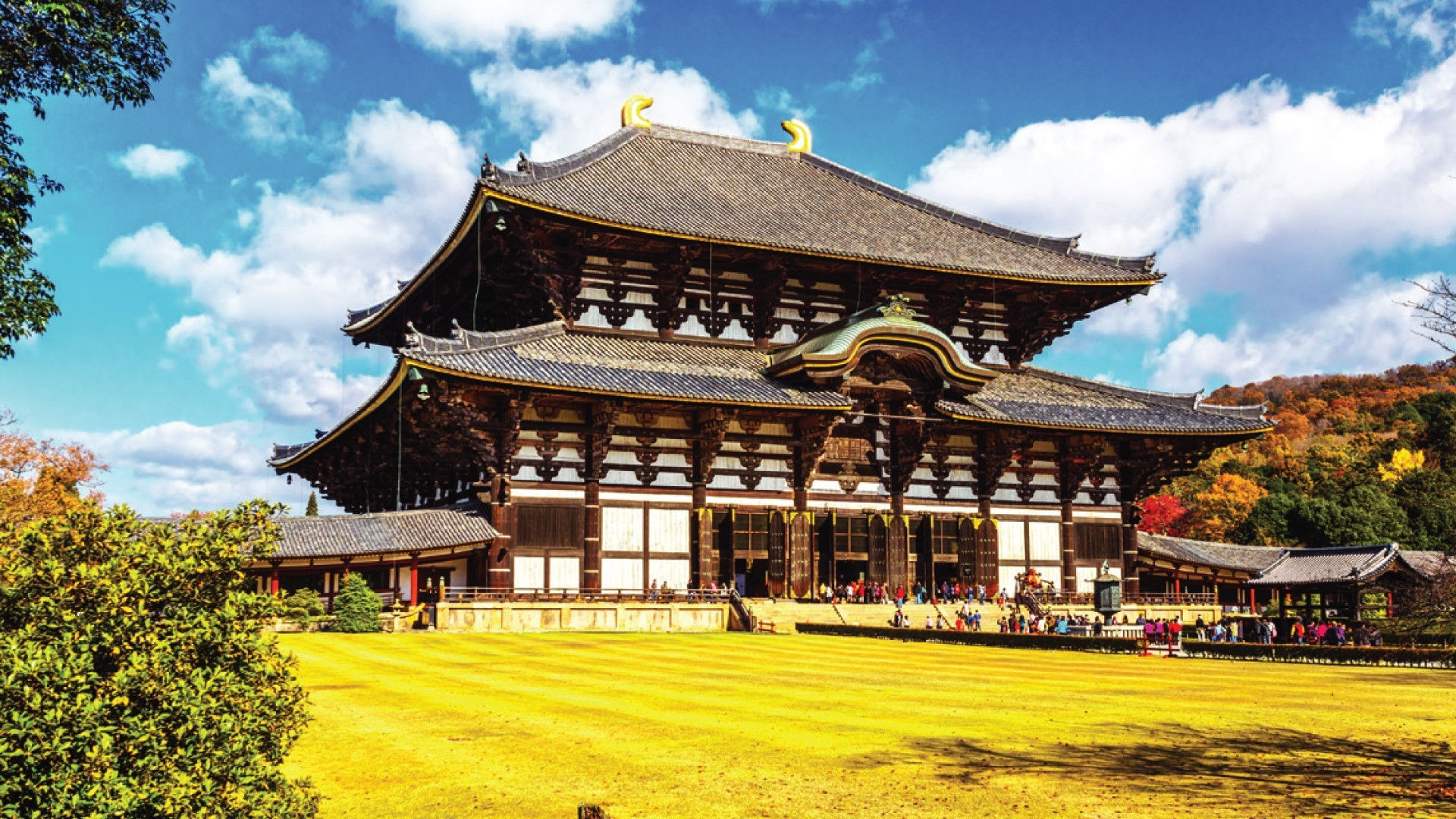 7D6N TOKYO + DISNEYLAND / MT FUJI / KYOTO [BULLET TRAIN] / NARA / OSAKA photo 6757