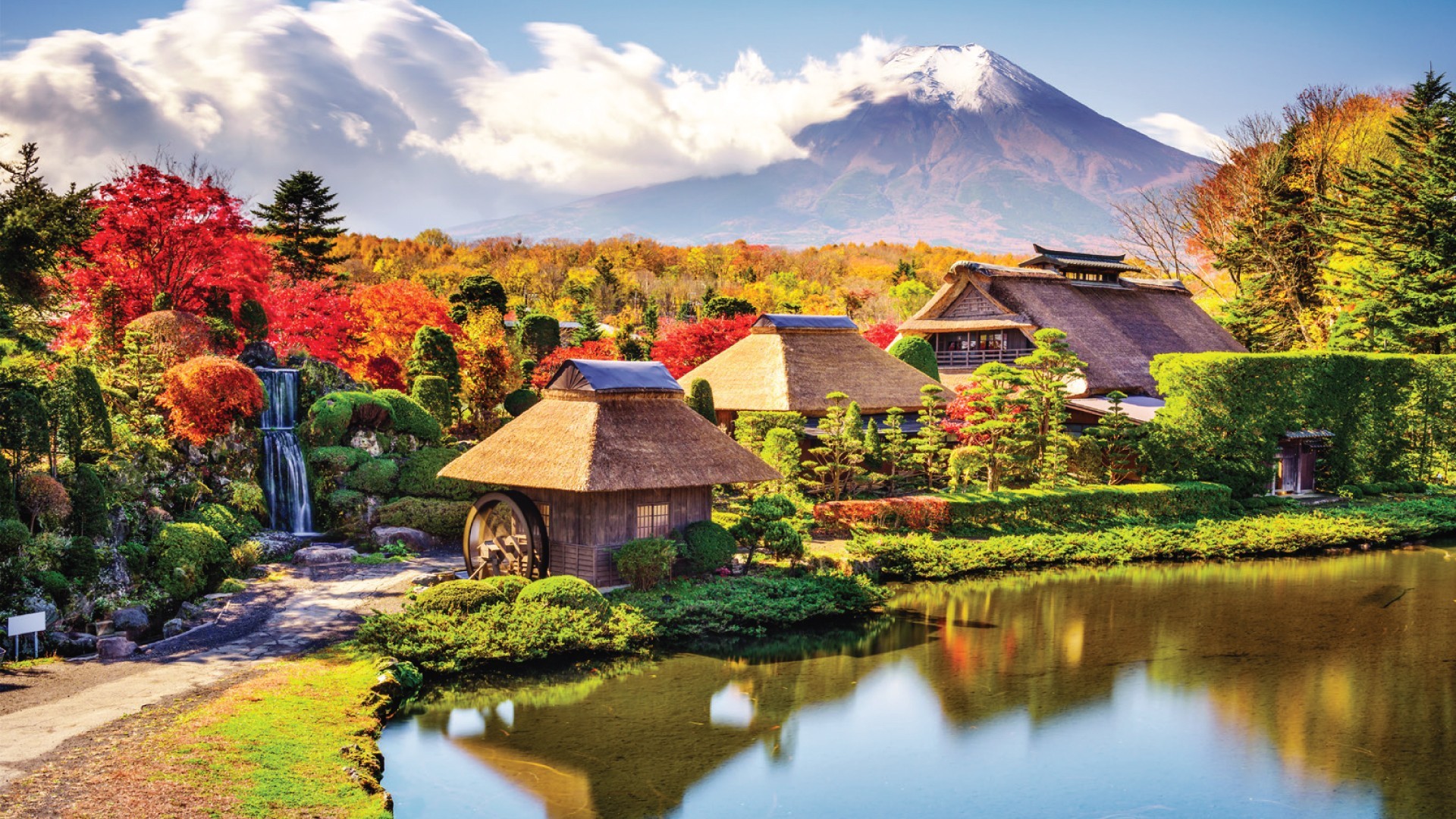 7D6N TOKYO + DISNEYLAND / MT FUJI / KYOTO [BULLET TRAIN] / NARA / OSAKA photo 6758