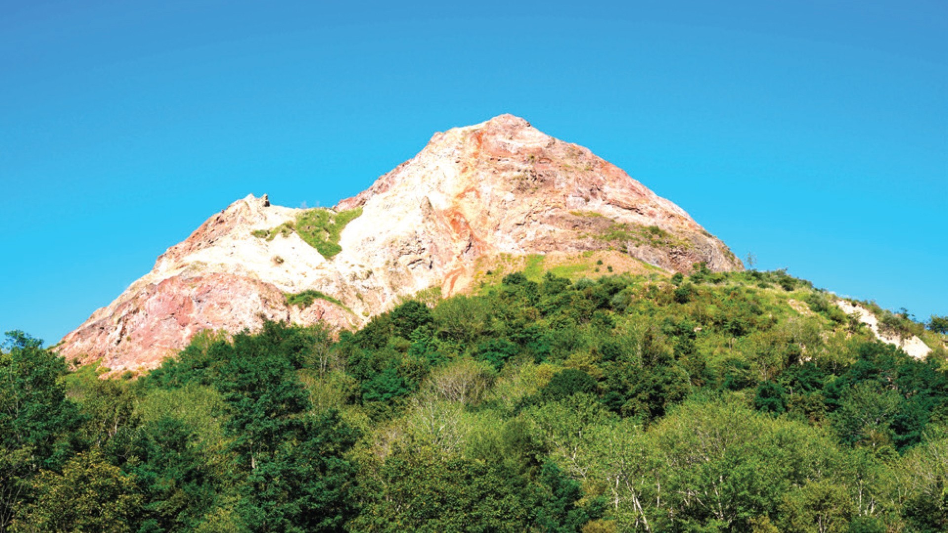 7D5N HOKKAIDO DELIGHT photo 6762