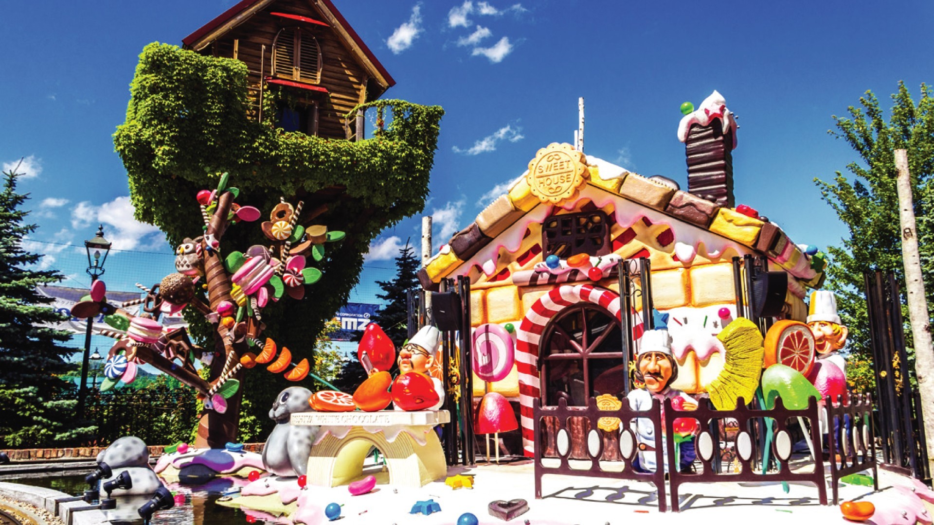 7D5N HOKKAIDO DELIGHT photo 6763