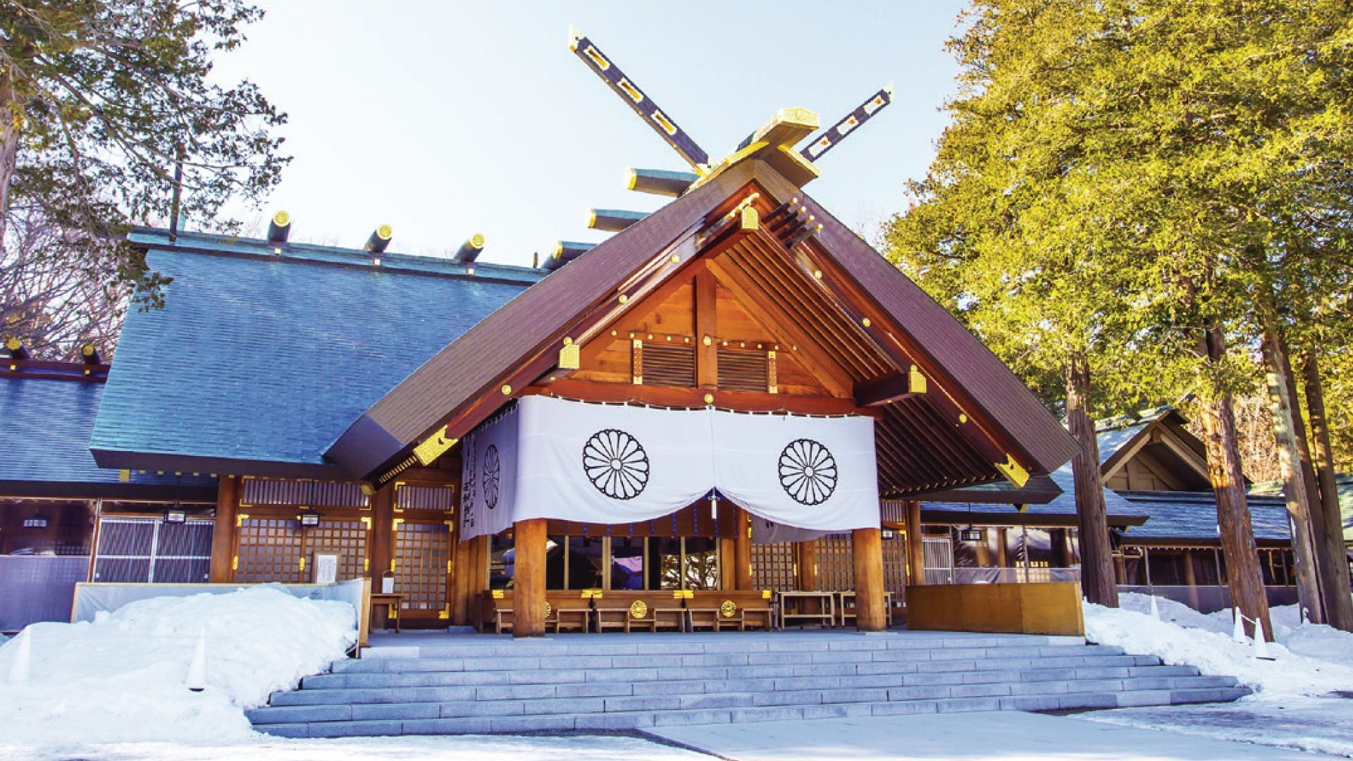 7D5N HOKKAIDO DELIGHT photo 6764