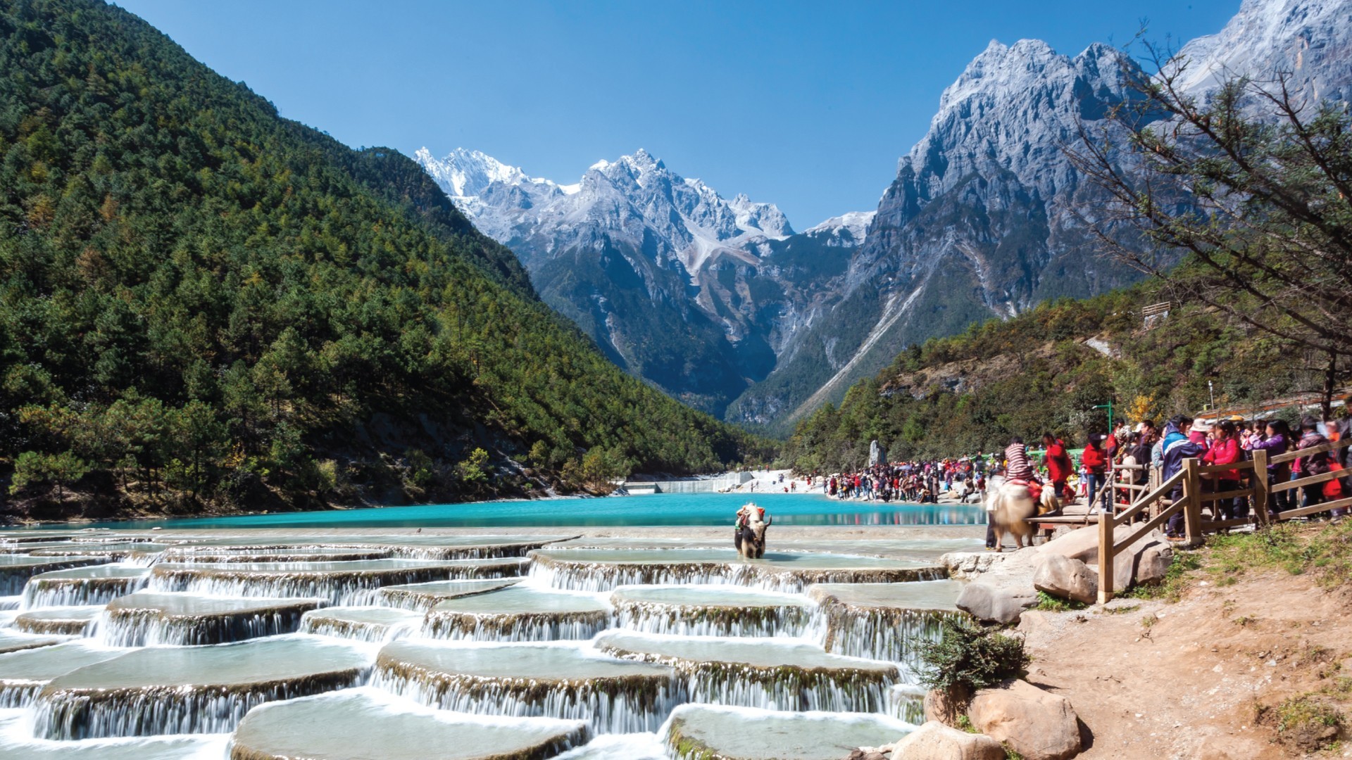 9D6N TOP-NOTCH YUNNAN photo 6788
