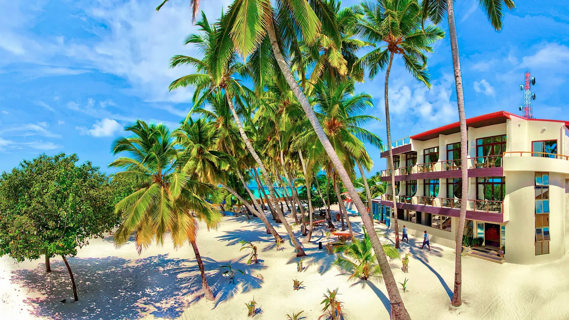 4D3N Kaani Palm Beach Hotel photo 6828