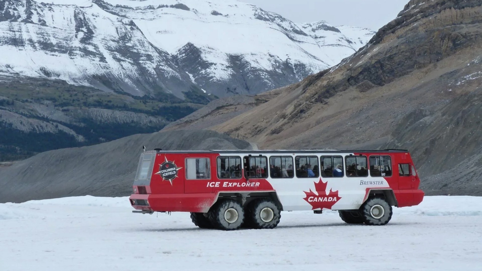 17D Let’s Go Alaska Cruise + Canadian Rockies photo 6921