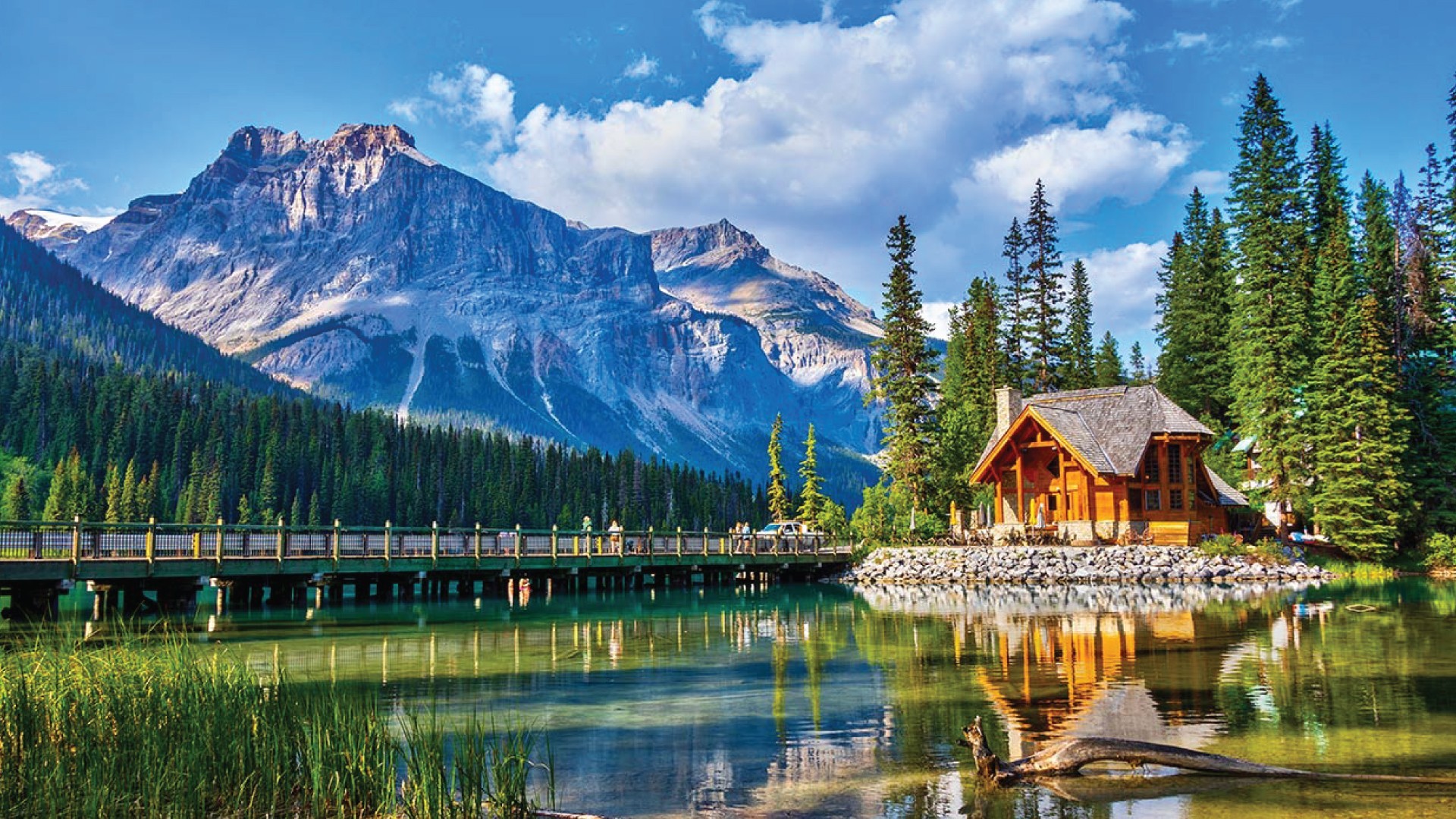 17D Let’s Go Alaska Cruise + Canadian Rockies photo 6923