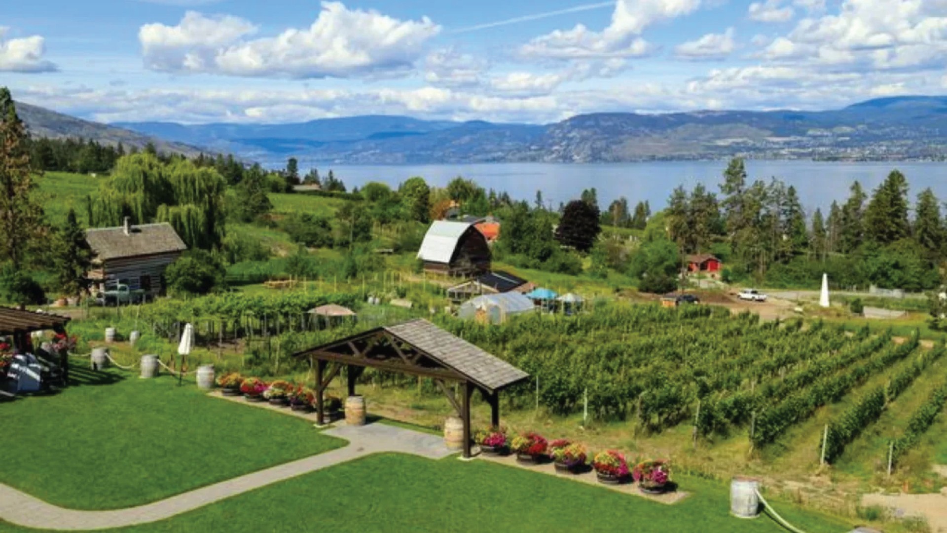 17D Let’s Go Alaska Cruise + Canadian Rockies photo 6925