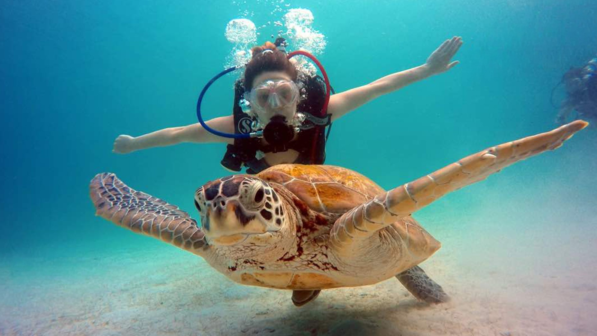 The Taaras Beach & Spa Resort - Jet, Set & Stay Package photo 6942