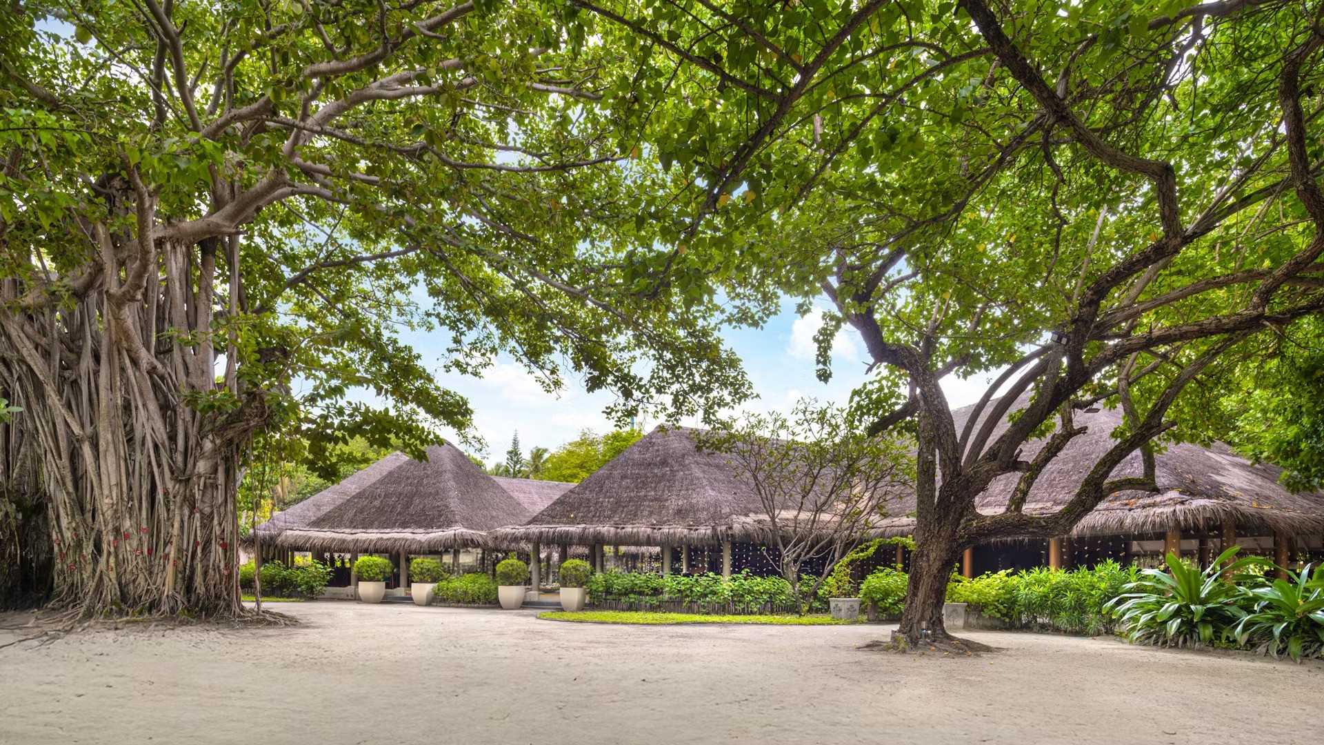 4D3N Adaaran Select Hudhuran Fushi photo 6964