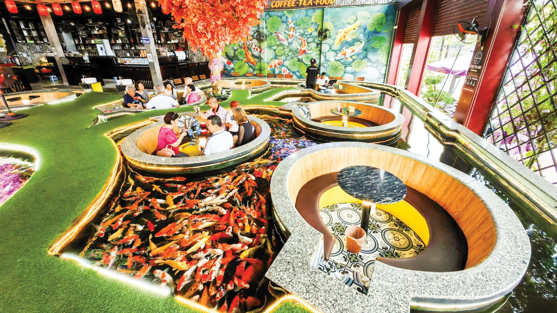 5D4N HANOI / HALONG BAY / NINH BINH photo 7052