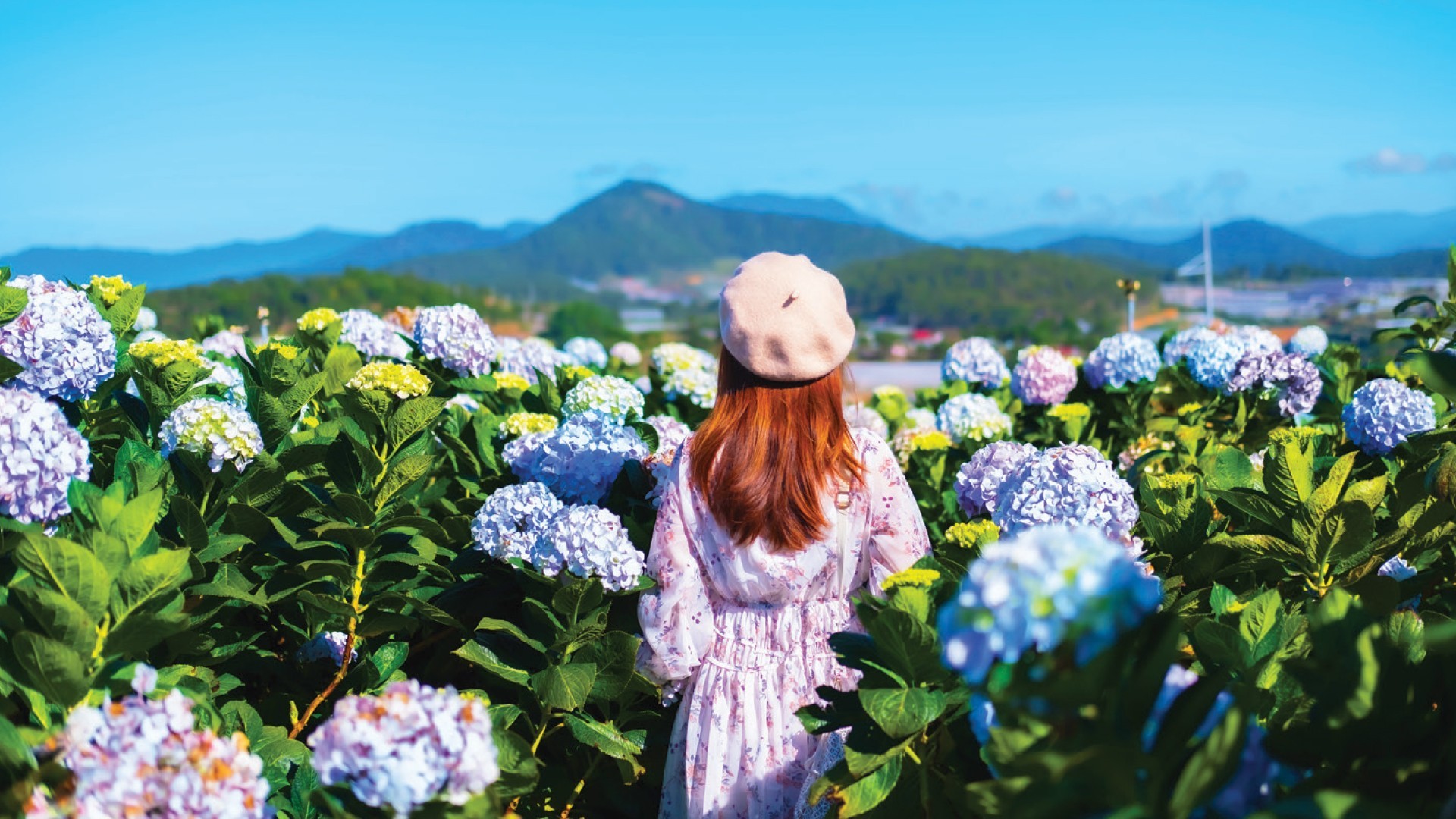 4D3N NHA TRANG / DALAT TOUR photo 7068