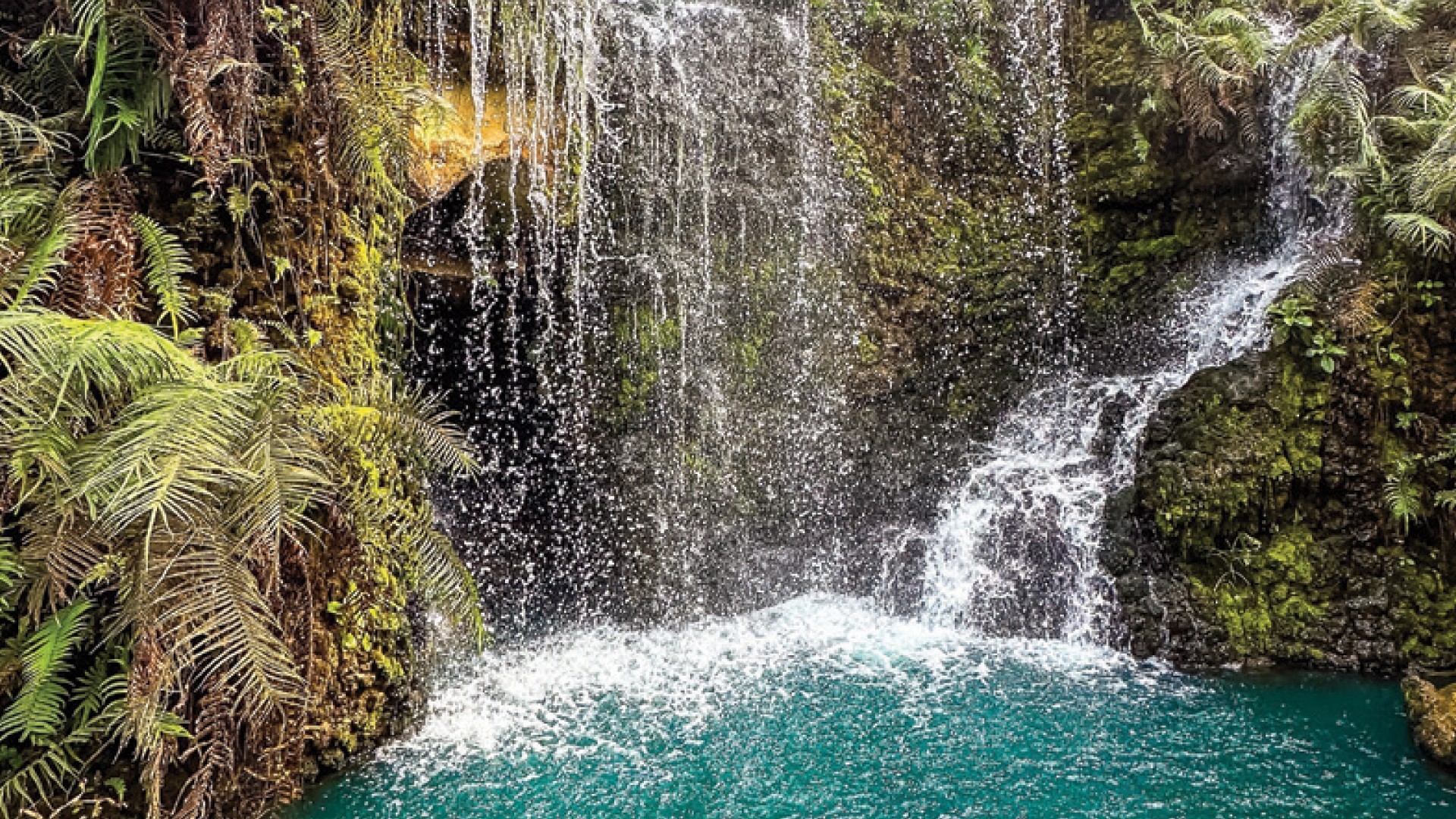 5D4N CHIANGMAI + PAI + BAN RAK THAI (OVERNIGHT) photo 7076