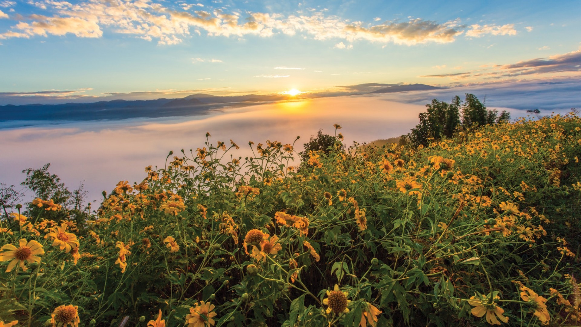 5D4N CHIANGMAI + PAI + BAN RAK THAI (OVERNIGHT) photo 7077