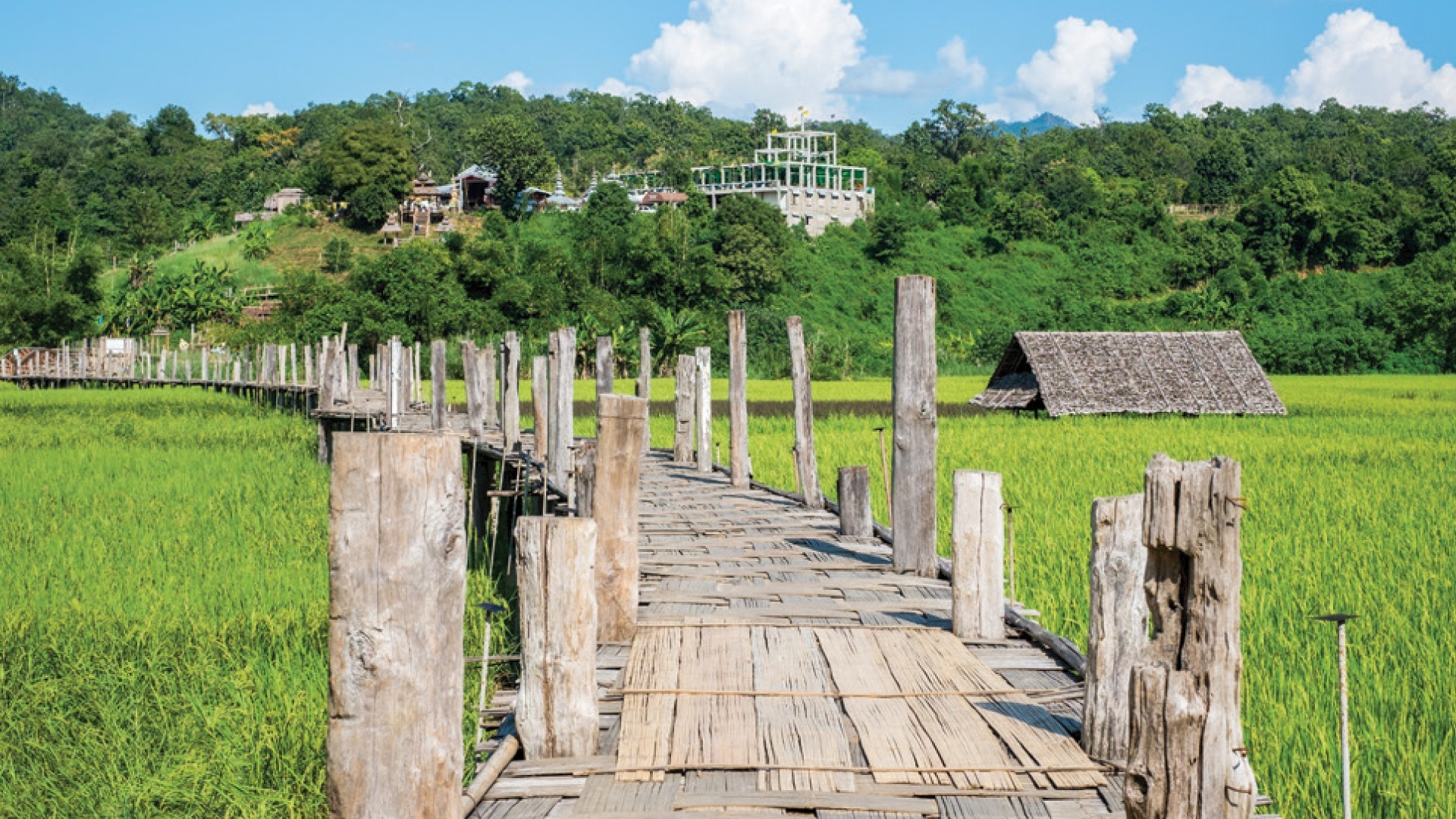 5D4N CHIANGMAI + PAI + BAN RAK THAI (OVERNIGHT) photo 7078