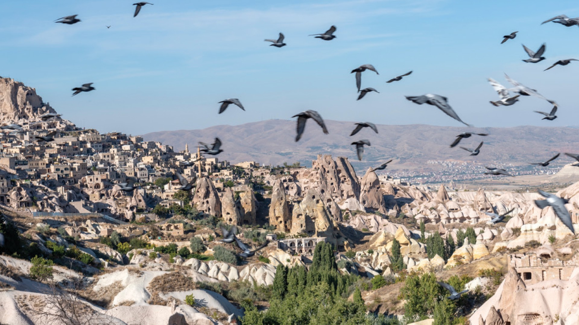 10D8N TURKEY WONDERS photo 7215