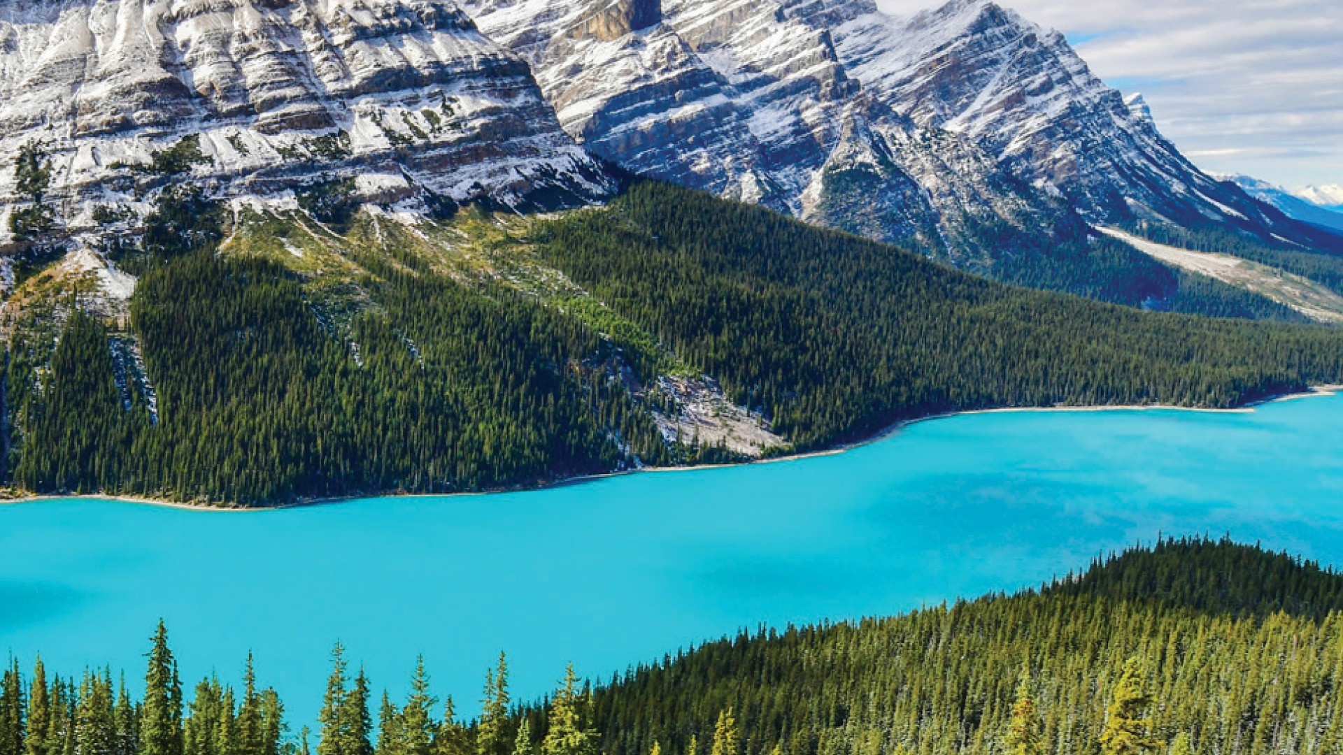 15D Let’s Go Alaska Cruise + Canadian Rockies - Emerald Princess photo 7237