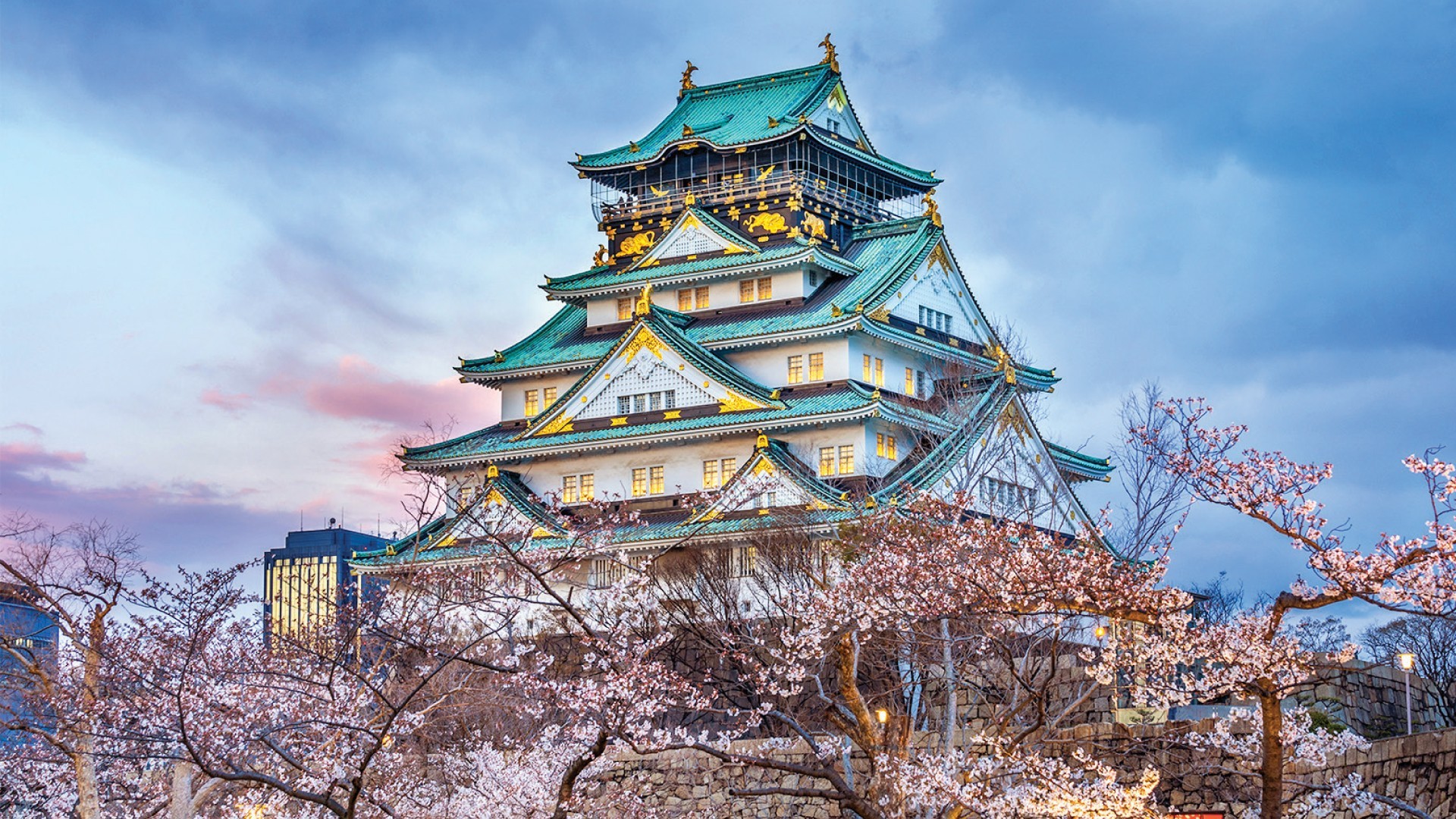 9H/8H6M OSAKA + KYOTO + MT. FUJI + TOKYO - Muslim photo 7252