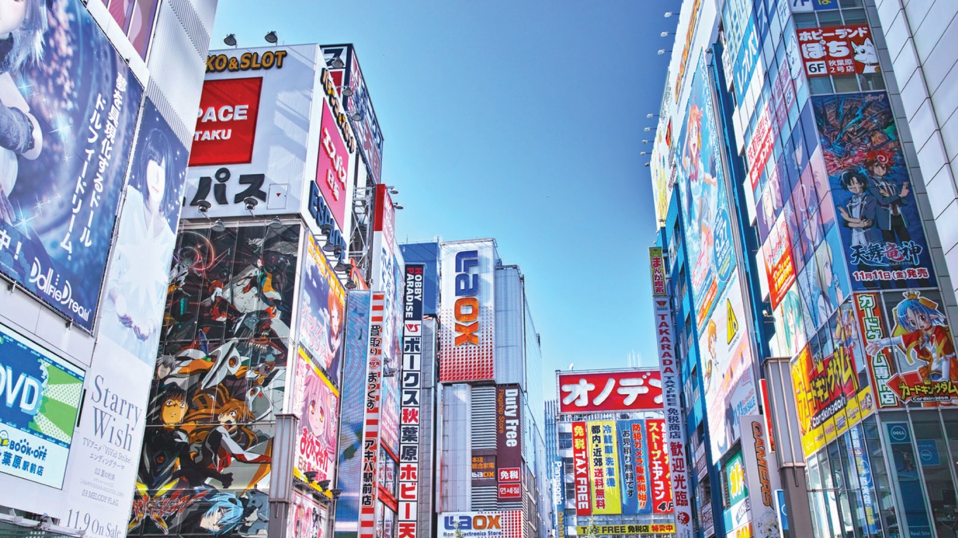 9H/8H6M OSAKA + KYOTO + MT. FUJI + TOKYO - Muslim photo 7253