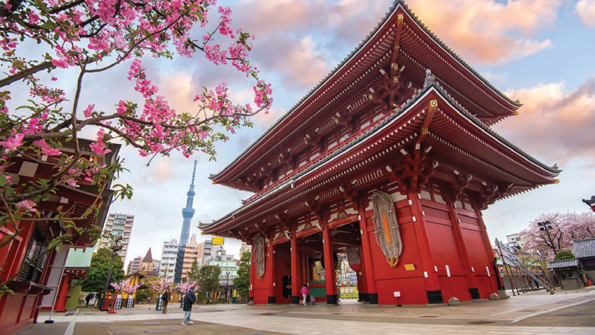 9H/8H6M OSAKA + KYOTO + MT. FUJI + TOKYO - Muslim photo 7255